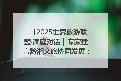 2025世界旅游联盟·洞庭对话｜专家建言黔湘文旅协同发展：聚焦产品稀缺性 深化区域经验共享