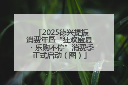 2025德兴提振消费年暨“狂欢盛夏・乐购不停”消费季正式启动（图）
