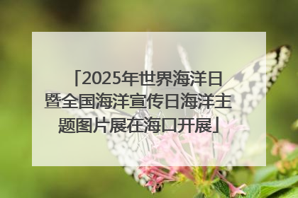 2025年世界海洋日暨全国海洋宣传日海洋主题图片展在海口开展