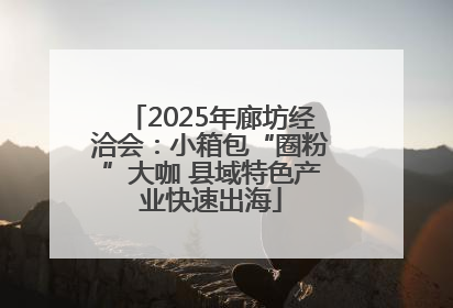 2025年廊坊经洽会：小箱包“圈粉”大咖 县域特色产业快速出海