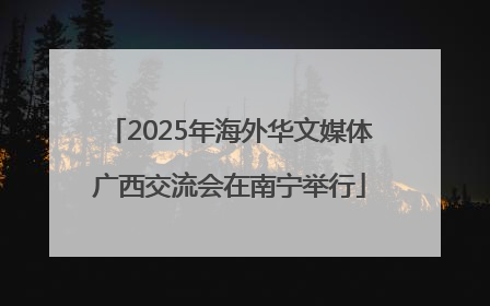 2025年海外华文媒体广西交流会在南宁举行