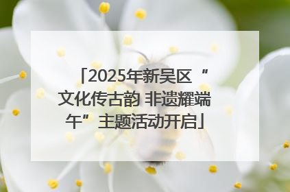 2025年新吴区“文化传古韵 非遗耀端午”主题活动开启