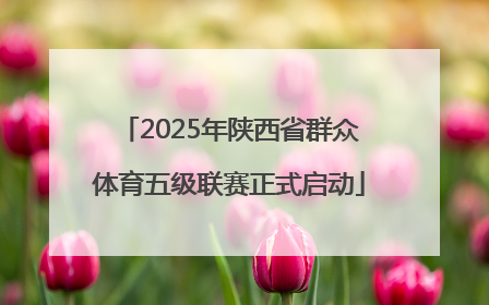 2025年陕西省群众体育五级联赛正式启动