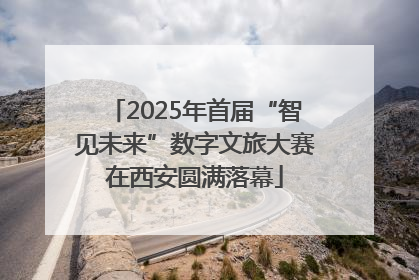 2025年首届“智见未来”数字文旅大赛在西安圆满落幕