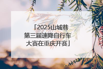 2025山城巷第三届速降自行车大赛在重庆开赛