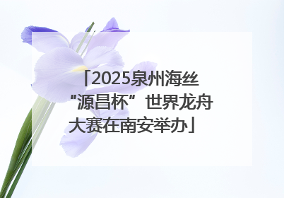 2025泉州海丝“源昌杯”世界龙舟大赛在南安举办