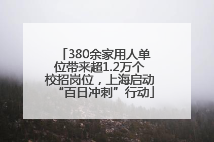 380余家用人单位带来超1.2万个校招岗位，上海启动“百日冲刺”行动