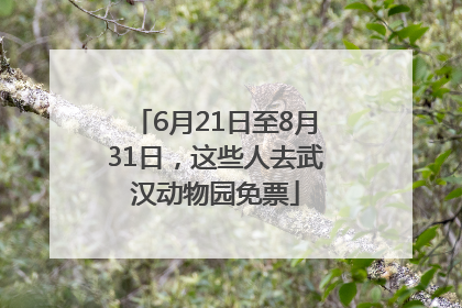 6月21日至8月31日，这些人去武汉动物园免票