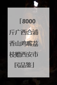 8000斤广西合浦香山鸡嘴荔枝赠西安市民品鉴