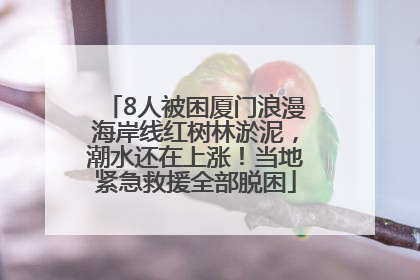 8人被困厦门浪漫海岸线红树林淤泥，潮水还在上涨！当地紧急救援全部脱困