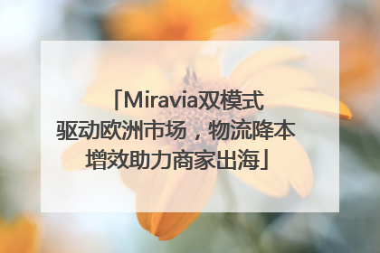 Miravia双模式驱动欧洲市场，物流降本增效助力商家出海